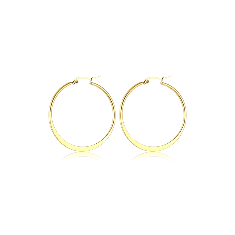 1 Pair Simple Style Classic Style Solid Color Plating Stainless Steel Hoop Earrings display picture 7
