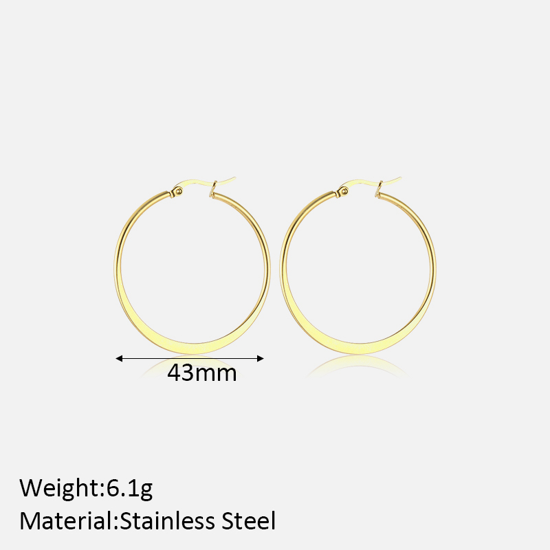 1 Pair Simple Style Classic Style Solid Color Plating Stainless Steel Hoop Earrings display picture 8