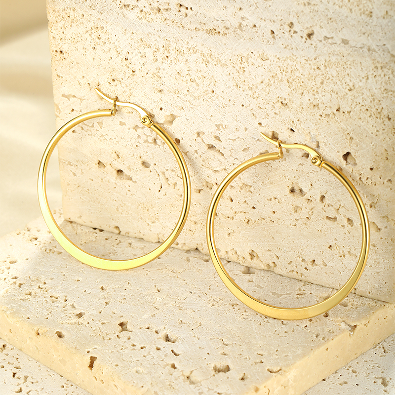 1 Pair Simple Style Classic Style Solid Color Plating Stainless Steel Hoop Earrings display picture 11