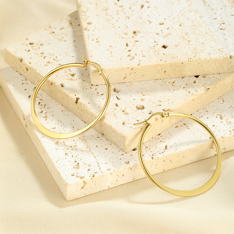 1 Pair Simple Style Classic Style Solid Color Plating Stainless Steel Hoop Earrings display picture 9