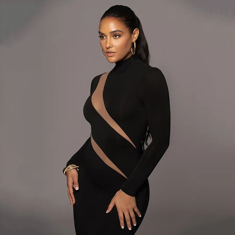 Women's Bodycon Dress Streetwear Round Neck Long Sleeve Solid Color Maxi Long Dress Banquet Party Date display picture 8