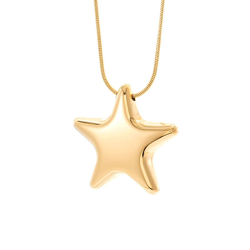 Acero Inoxidable 304 Chapados en oro de 18k Estilo Francés Estilo Simple Estrella Aretes Collar display picture 16