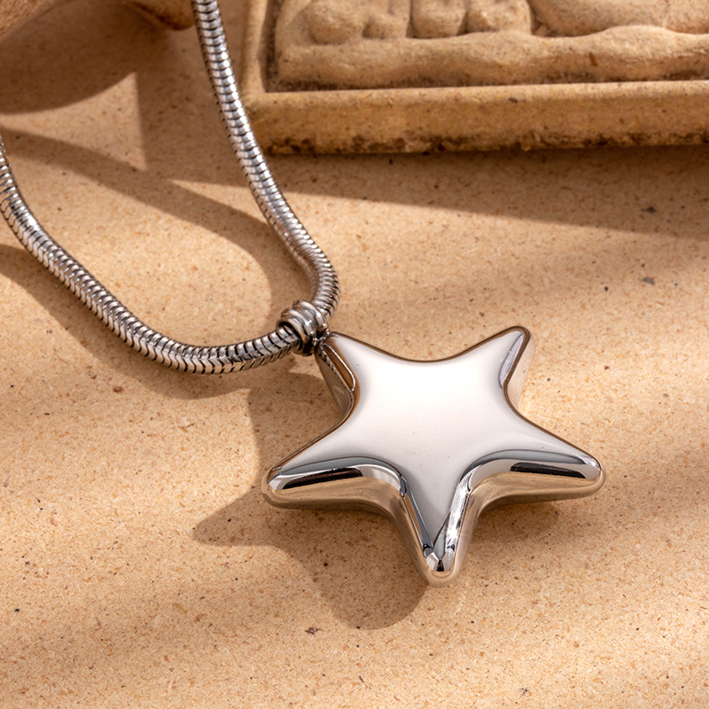 304 Stainless Steel 18K Gold Plated French Style Simple Style Star Earrings Necklace display picture 18