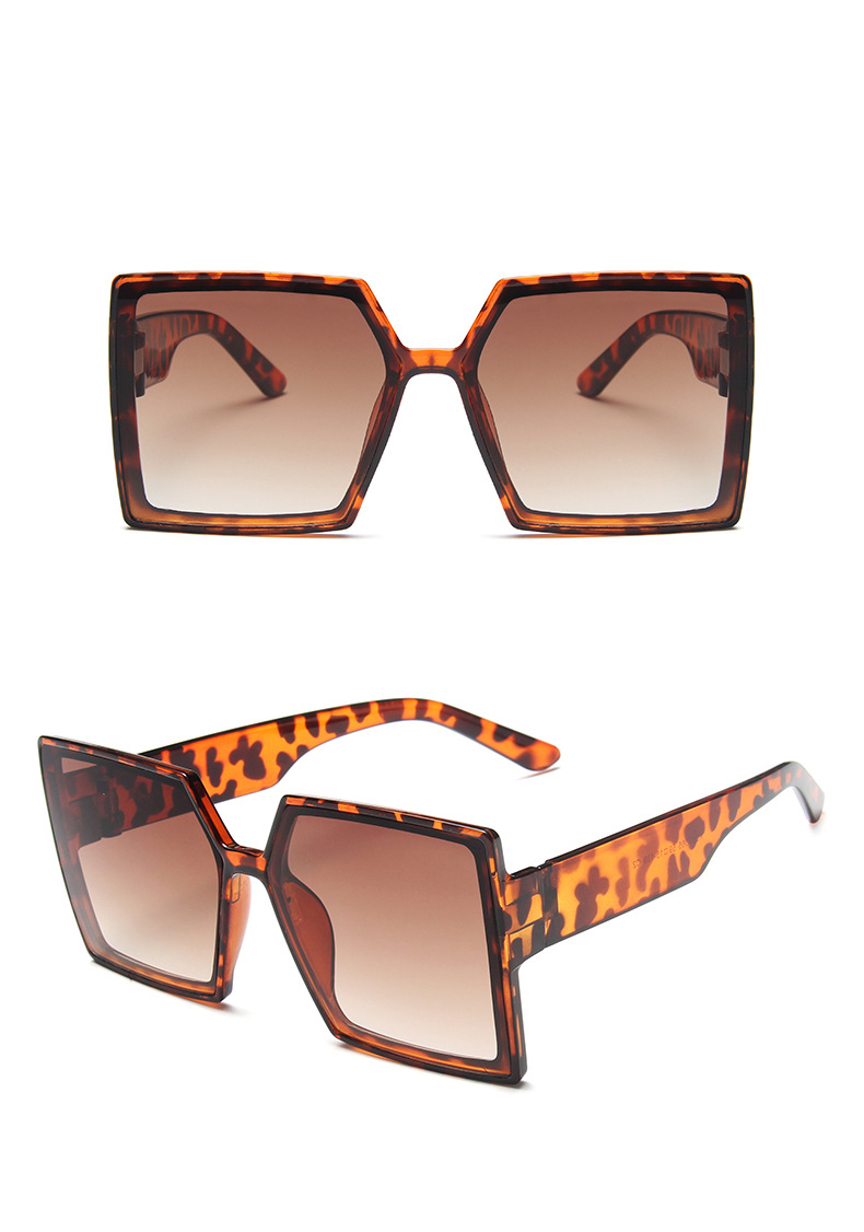 Simple Style Solid Color Leopard Ac Square Full Frame Women's Sunglasses display picture 6