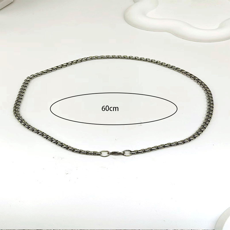Titan Stahl IG-Stil Einfacher Stil Toller Stil Geometrisch Einfarbig Halskette display picture 1