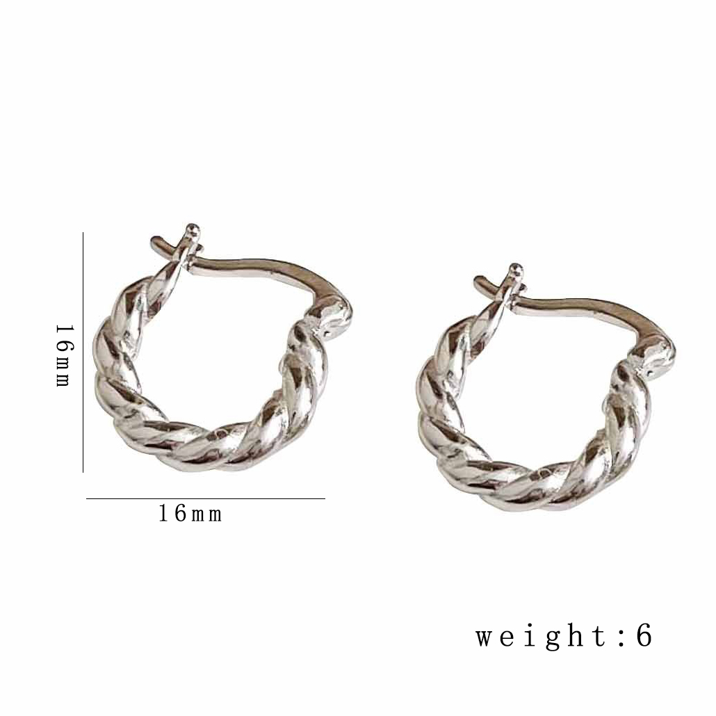 1 Pair Casual Simple Style Twist Plating 304 Stainless Steel 18K Gold Plated Earrings display picture 6