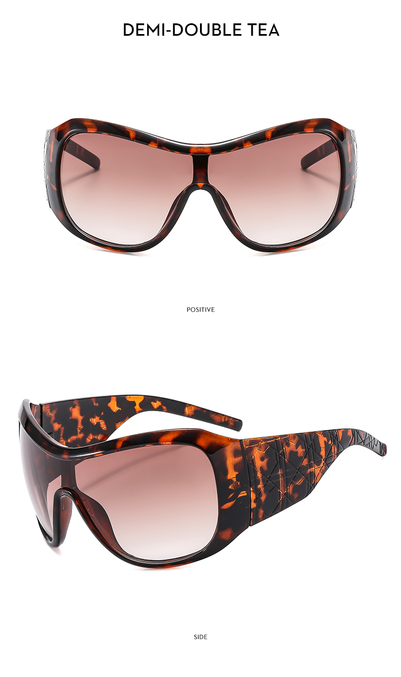 Simple Style Classic Style Solid Color Leopard Pc Square Full Frame Women's Sunglasses display picture 14
