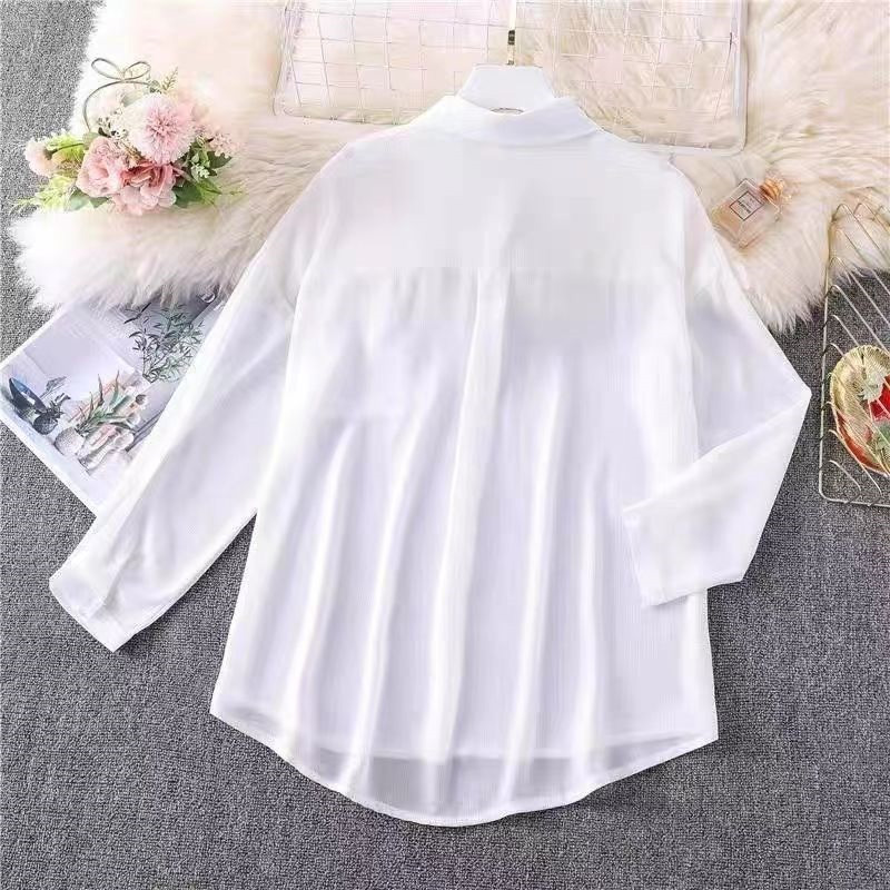 Women's Blouse Long Sleeve Blouses Transparent Simple Style Solid Color display picture 7
