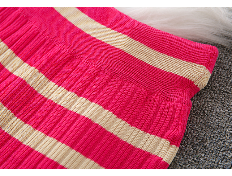 Daily Women's Casual Stripe Polyester Stripe Skirt Sets Skirt Sets display picture 8