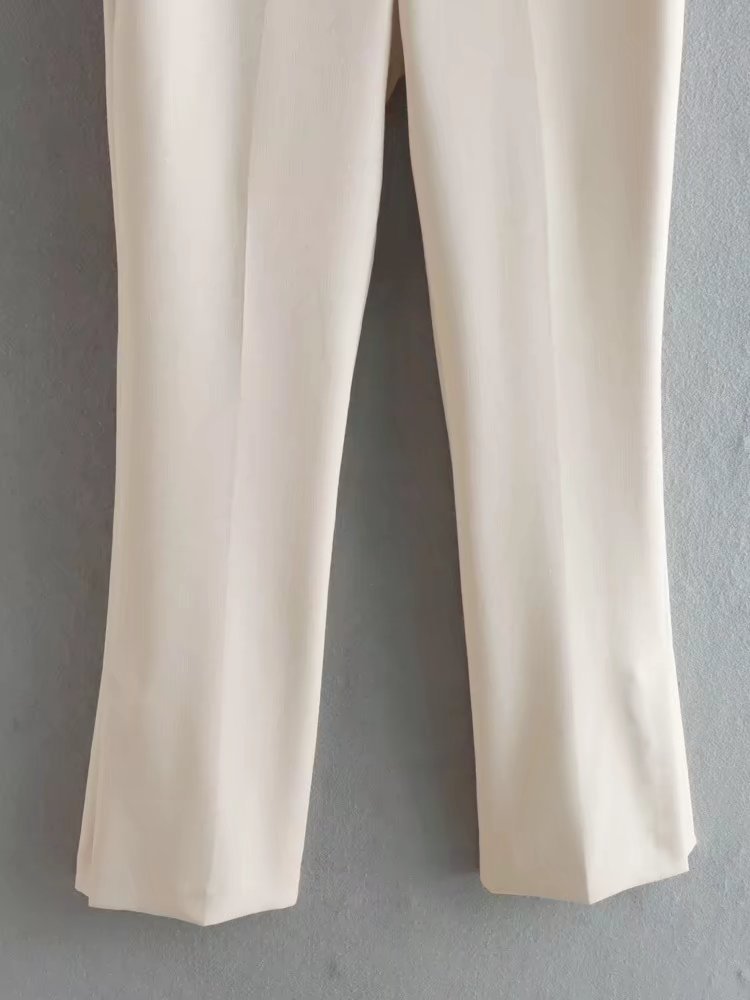 Täglich Frau Strassenmode Einfarbig Polyester Reißverschluss Hosen-Sets Hosen-Sets display picture 15