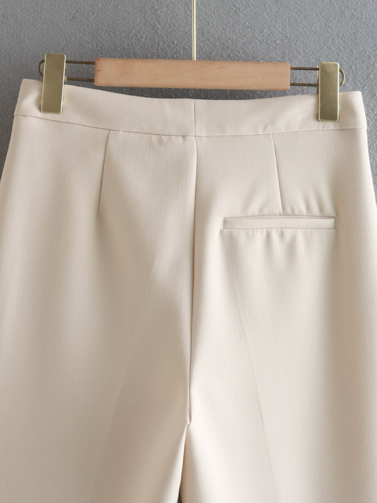 Täglich Frau Strassenmode Einfarbig Polyester Reißverschluss Hosen-Sets Hosen-Sets display picture 21