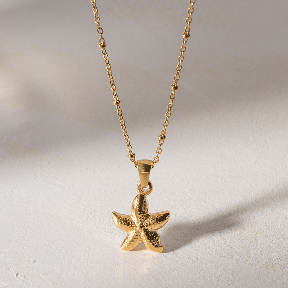 Acero Inoxidable 304 Chapados en oro de 18k Estilo Simple Estilo Clásico Enchapado Estrella De Mar Collar Colgante display picture 8
