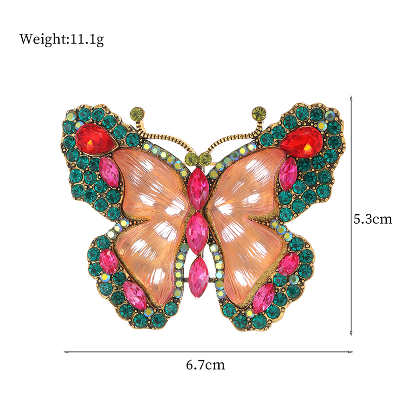 Elegante Animal Mariposa Rana Aleación Diamante De Imitación Unisexo Broches display picture 25