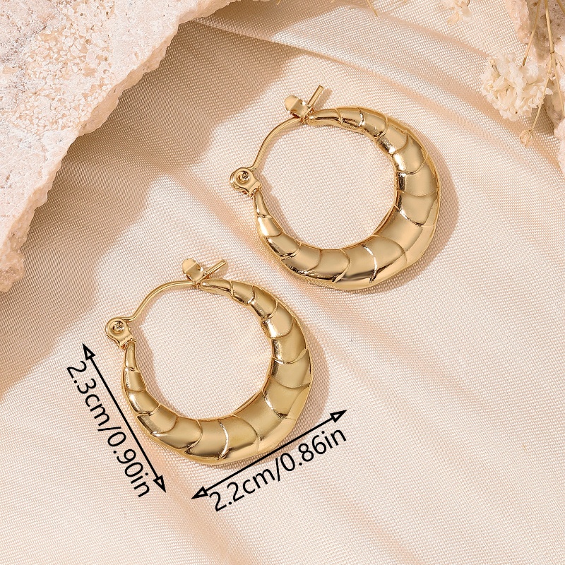 1 Pair 5 Pairs Simple Style Classic Style Solid Color Asymmetrical 304 Stainless Steel 18K Gold Plated Earrings display picture 18