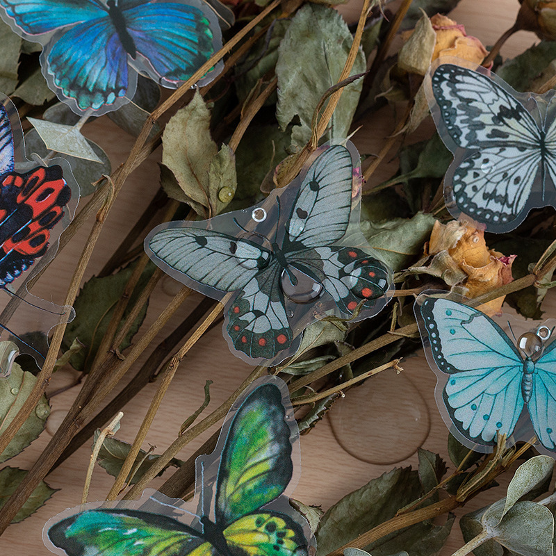 40St Tier Schmetterling Lernen Schule Abschluss PVC Pastoral Washi-Tape display picture 4
