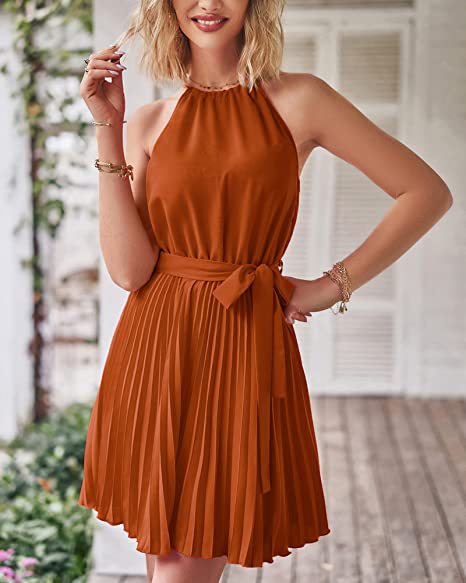 Women's Chiffon Dress Elegant Halter Neck Ruched Sleeveless Solid Color Knee-Length Daily display picture 12