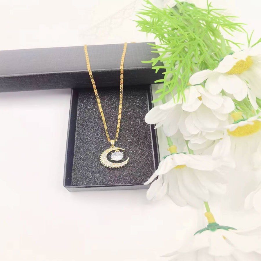 Stainless Steel Elegant Moon Pendant Necklace display picture 4