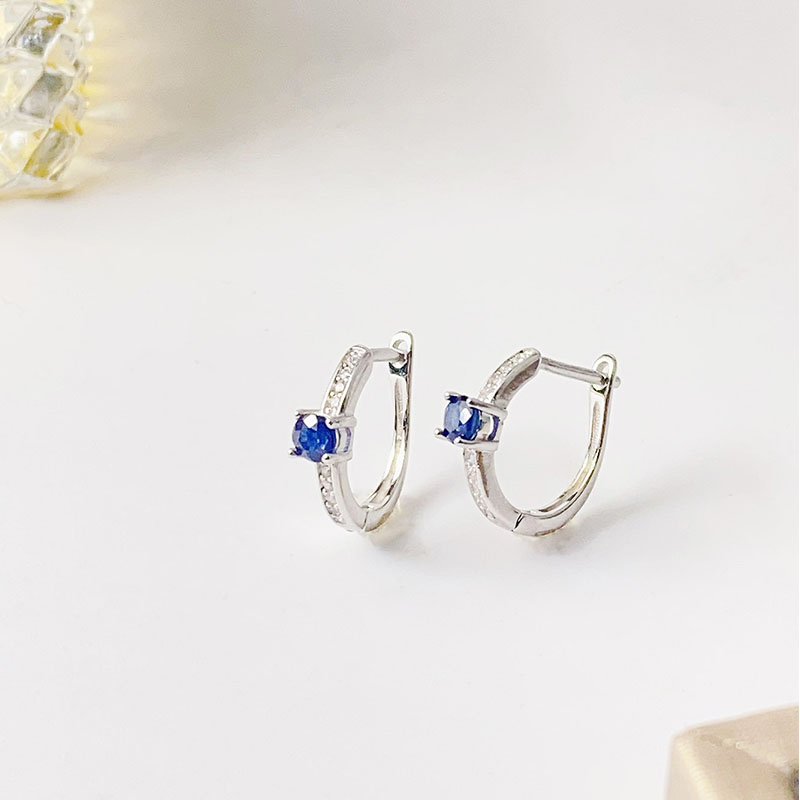 1 Pair Elegant Luxurious Simple Style Circle Plating Inlay Sterling Silver Gem Gold Plated Drop Earrings display picture 5