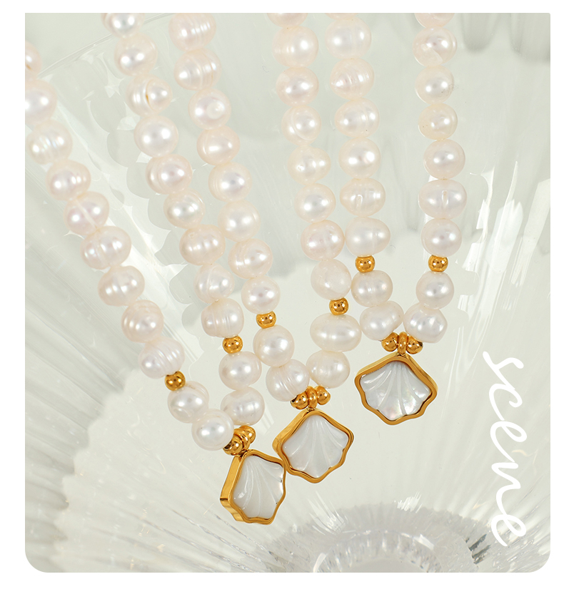Süßwasserperle Weiße Schalentiere Titan Stahl 18 Karat Vergoldet Elegant Perlen Hülse Armbänder display picture 4