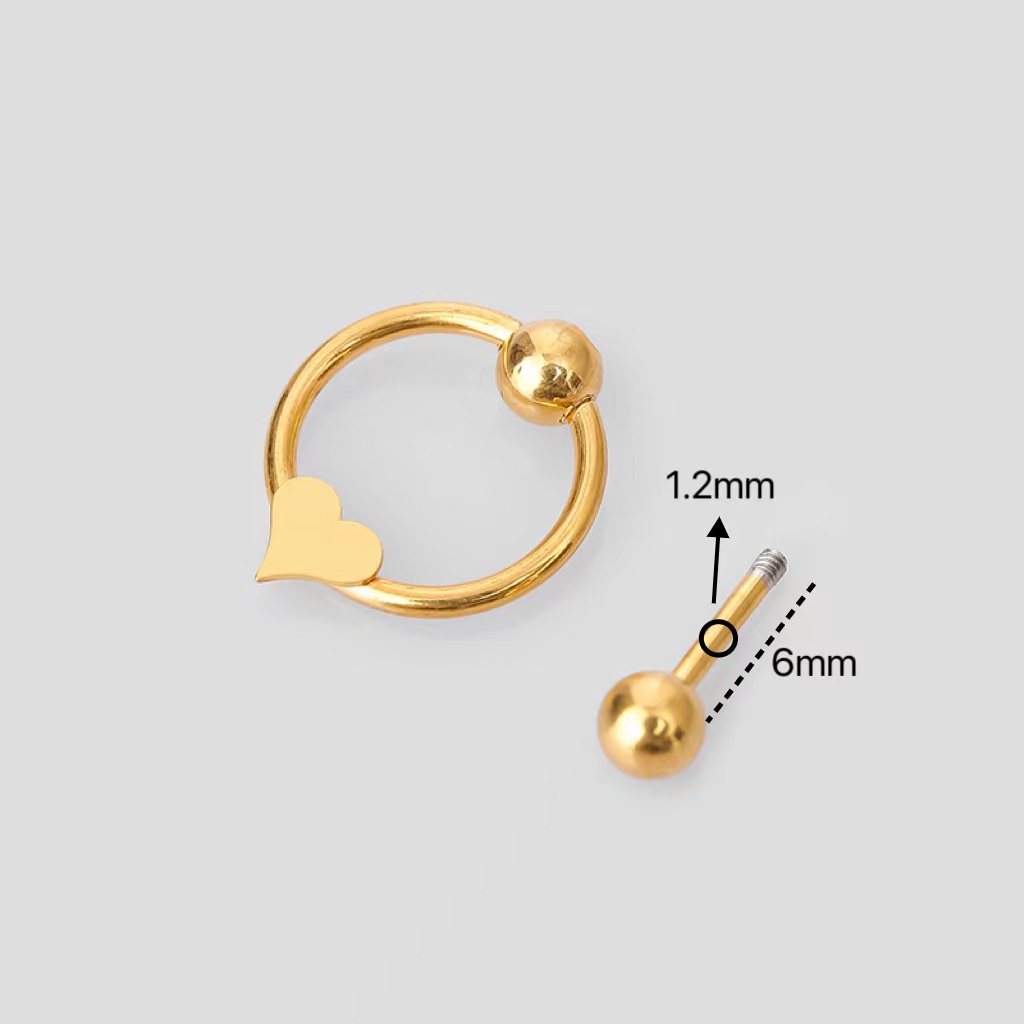 1 Piece Simple Style Classic Style Star Heart Shape 316L Stainless Steel  Ear Studs Cartilage Earrings display picture 3