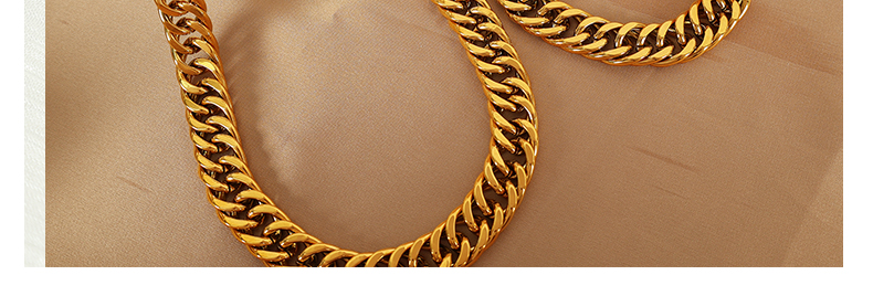 Acero Titanio Chapados en oro de 18k Estilo Simple Estilo Clásico Enchapado Color Sólido Pulsera Collar display picture 4