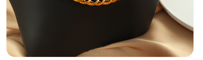 Acero Titanio Chapados en oro de 18k Estilo Simple Estilo Clásico Enchapado Color Sólido Pulsera Collar display picture 12