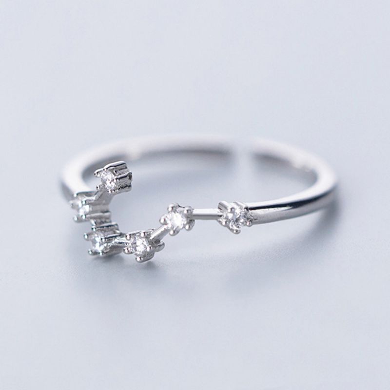Sterling Silver White Gold Plated Silver Plated Casual Elegant Plating Inlay Constellation Zircon Open Rings display picture 5