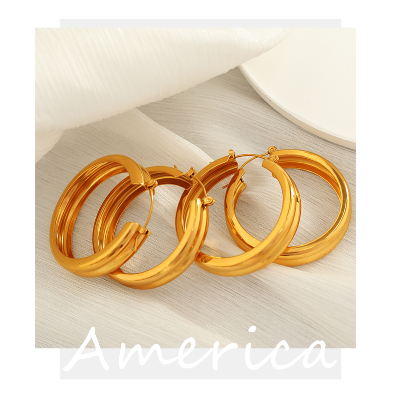 1 Pair Modern Style Simple Style Classic Style Circle Plating Titanium Steel 18K Gold Plated Hoop Earrings display picture 7