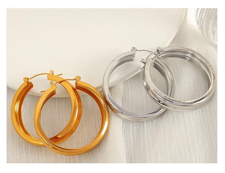 1 Pair Modern Style Simple Style Classic Style Circle Plating Titanium Steel 18K Gold Plated Hoop Earrings display picture 4