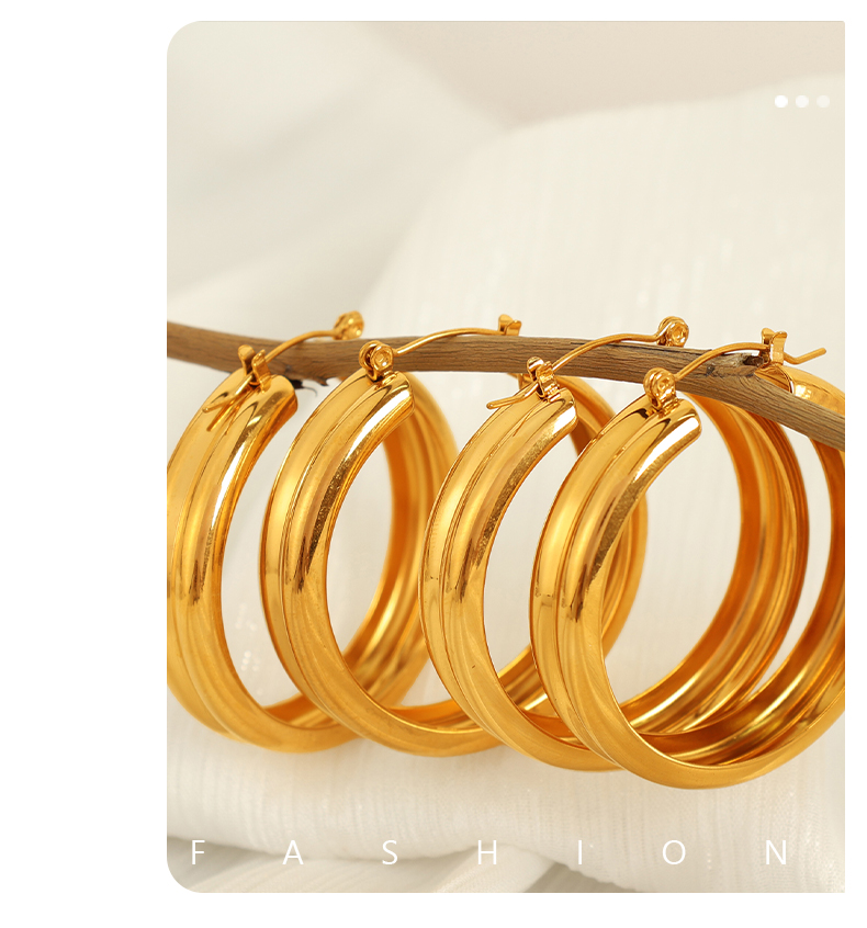 1 Pair Modern Style Simple Style Classic Style Circle Plating Titanium Steel 18K Gold Plated Hoop Earrings display picture 2