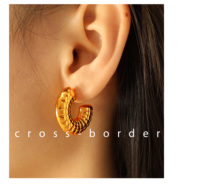 1 Pair Vintage Style Simple Style C Shape Circle Plating Titanium Steel 18K Gold Plated Ear Studs display picture 8