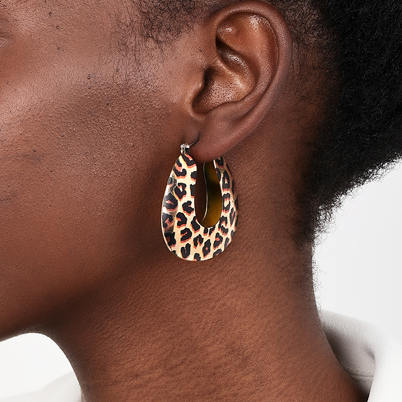 1 Pair Simple Style Classic Style Leopard Alloy Earrings display picture 2