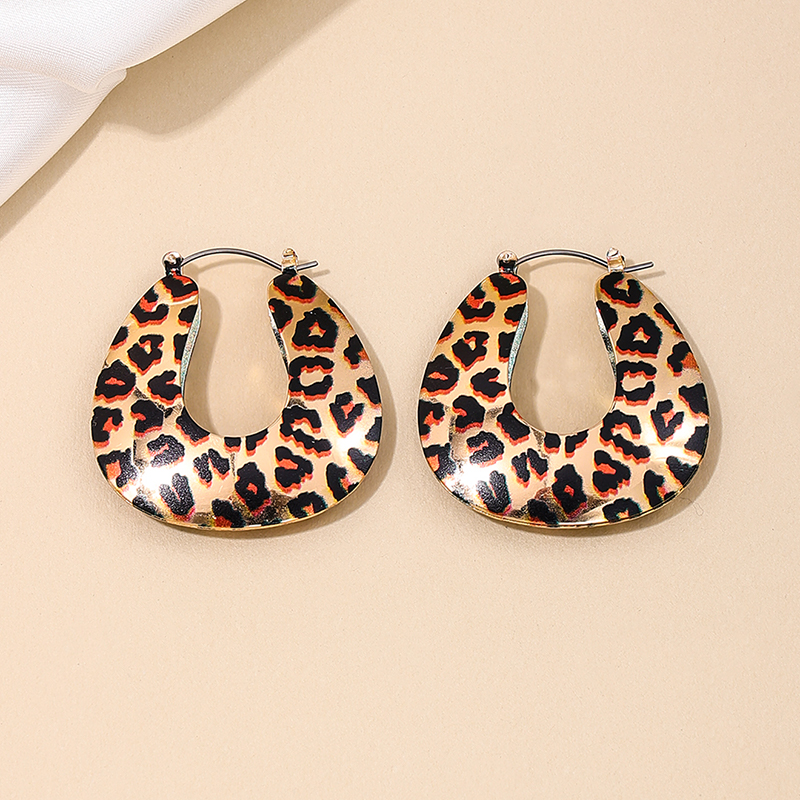 1 Pair Simple Style Classic Style Leopard Alloy Earrings display picture 4