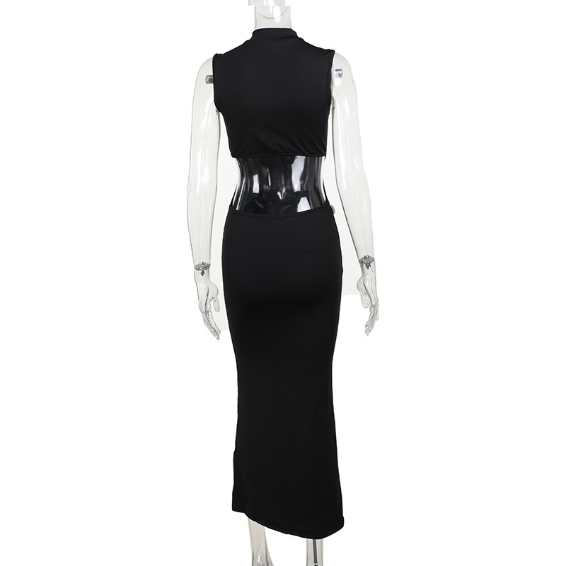 Women's Sheath Dress Sexy Standing Collar Sleeveless Flower Maxi Long Dress Holiday Daily display picture 9