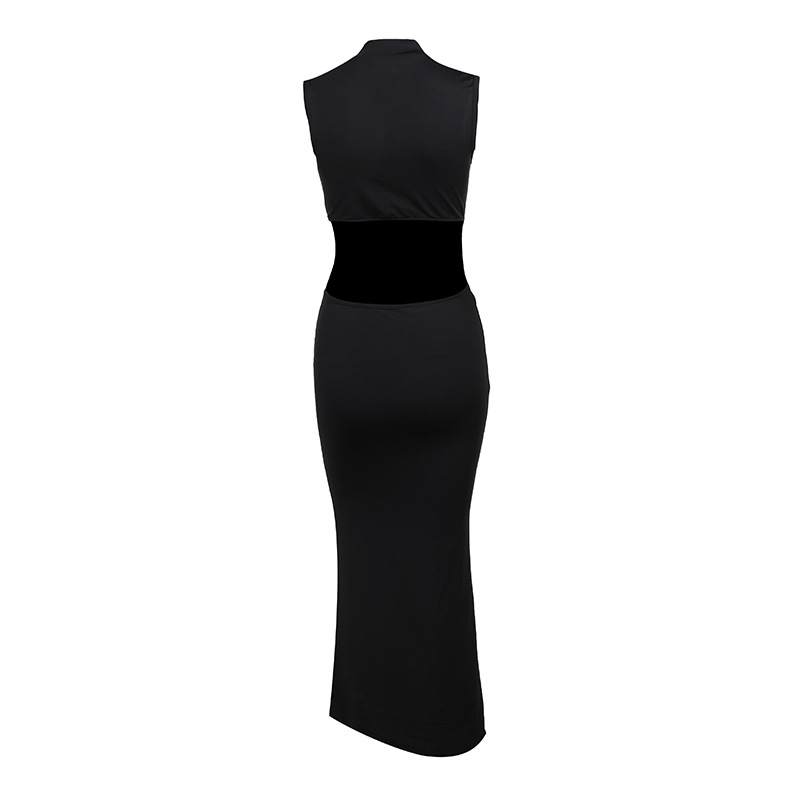 Women's Sheath Dress Sexy Standing Collar Sleeveless Flower Maxi Long Dress Holiday Daily display picture 19