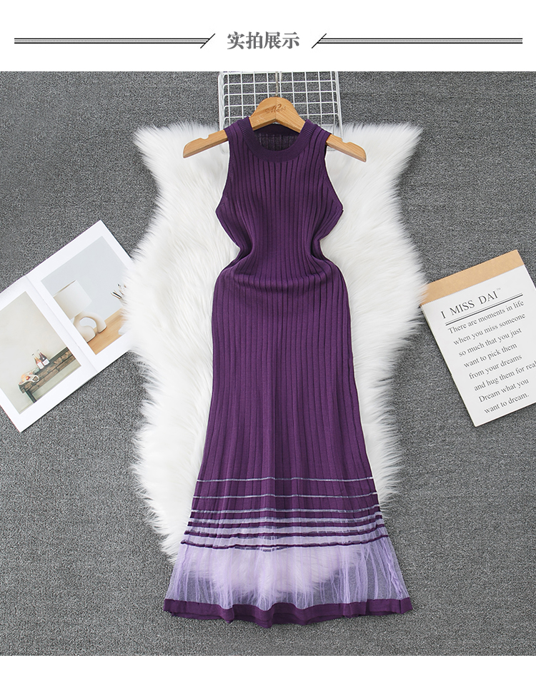 Women's Regular Dress Casual Round Neck Net Yarn Sleeveless Solid Color Maxi Long Dress Daily display picture 1