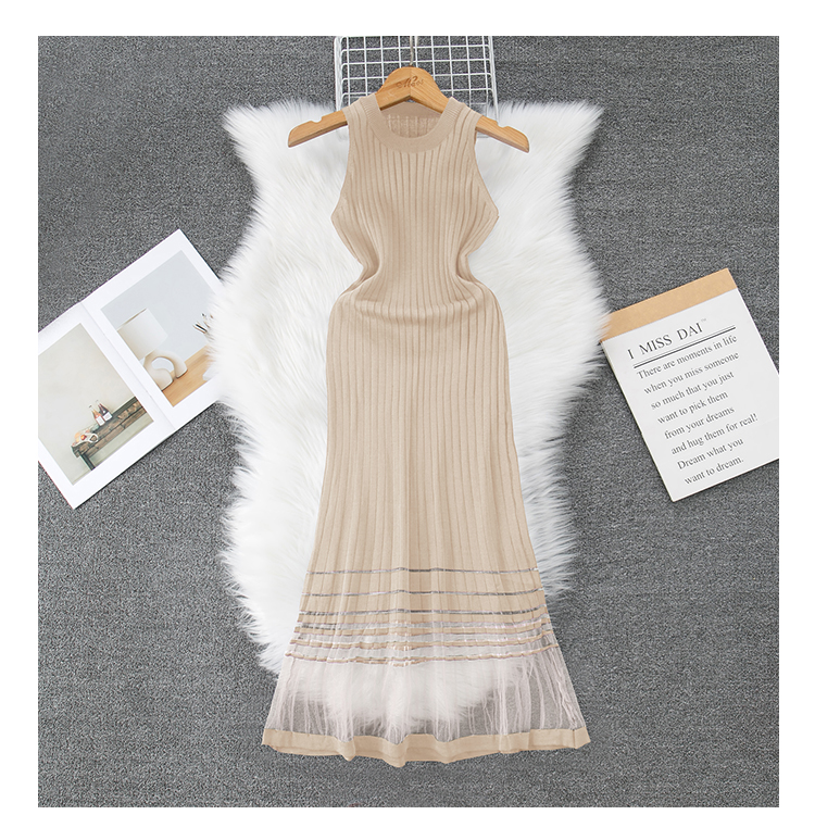 Women's Regular Dress Casual Round Neck Net Yarn Sleeveless Solid Color Maxi Long Dress Daily display picture 3