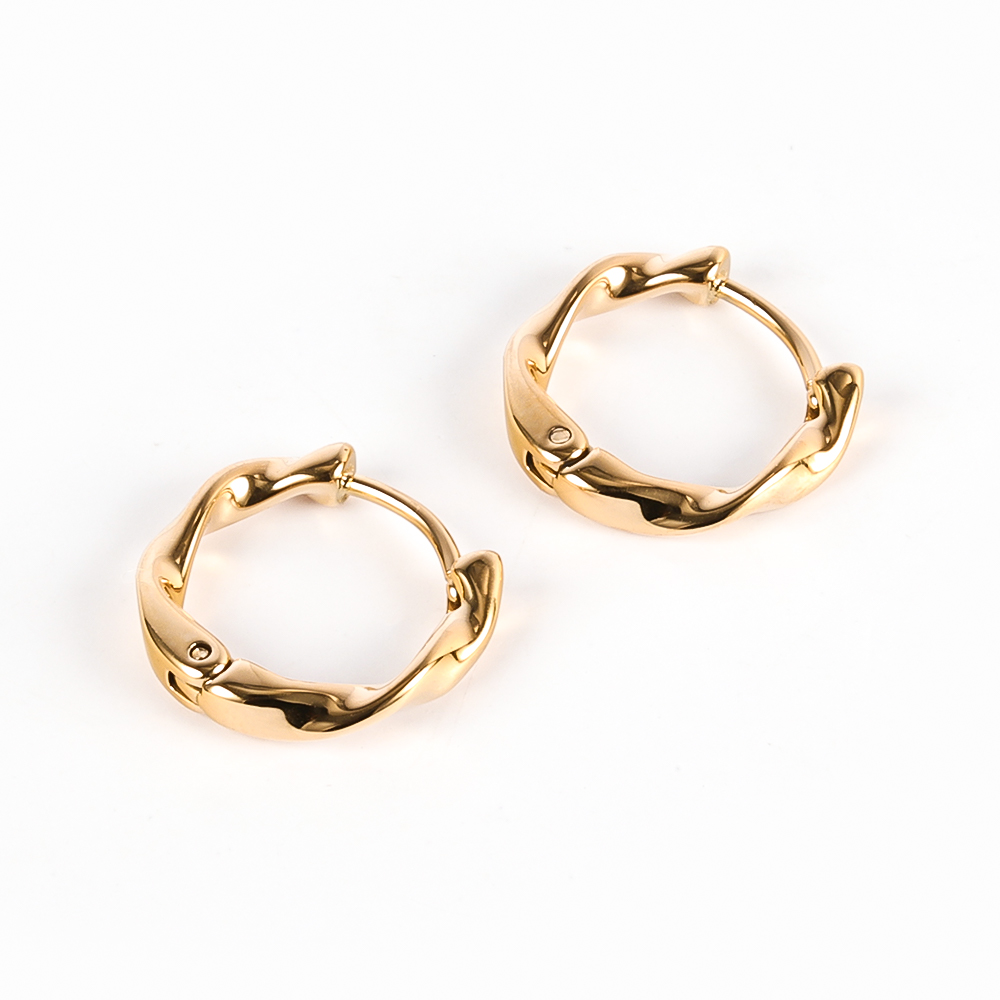 1 Pair Modern Style Simple Style Solid Color Polishing 304 Stainless Steel 18K Gold Plated Earrings display picture 22