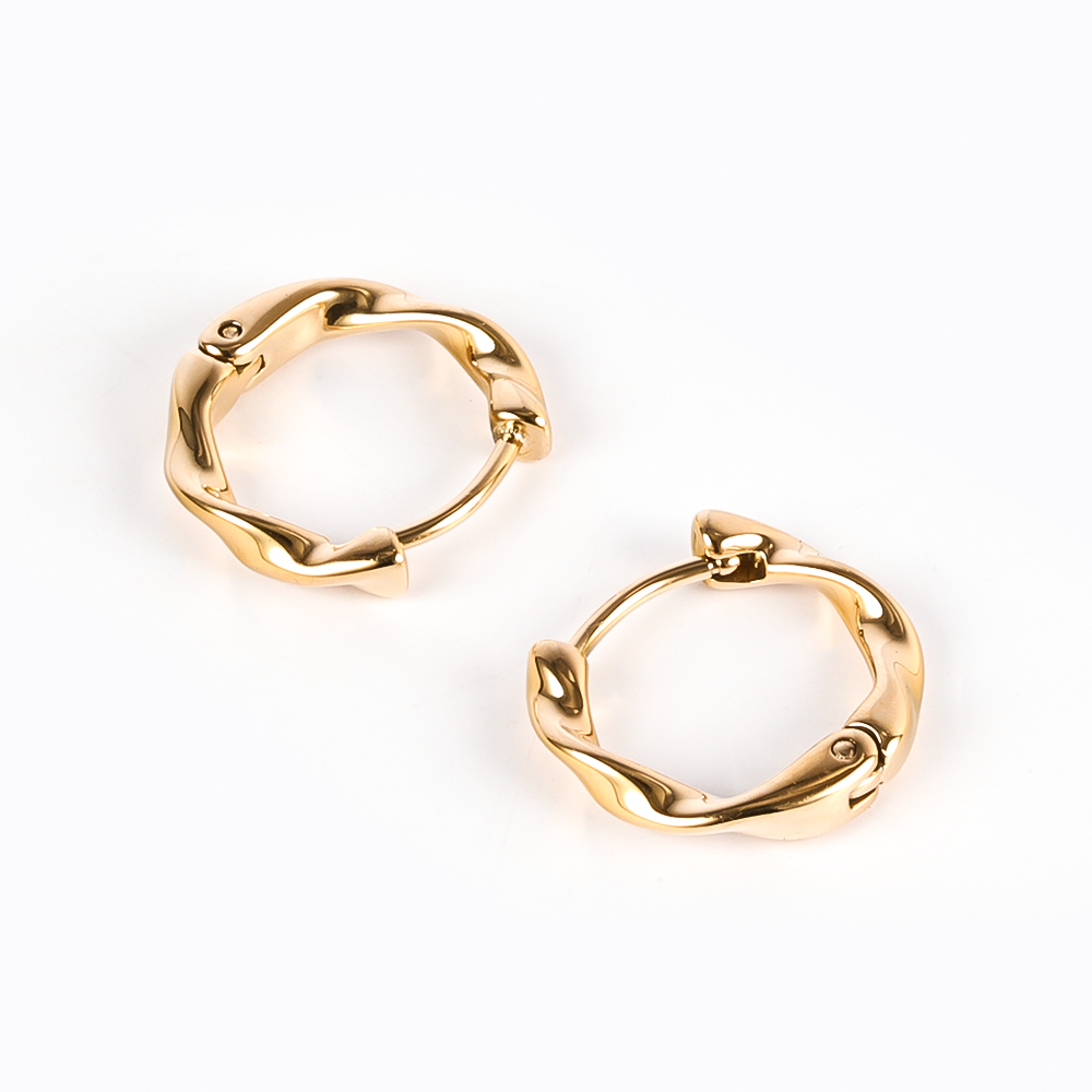 1 Pair Modern Style Simple Style Solid Color Polishing 304 Stainless Steel 18K Gold Plated Earrings display picture 23