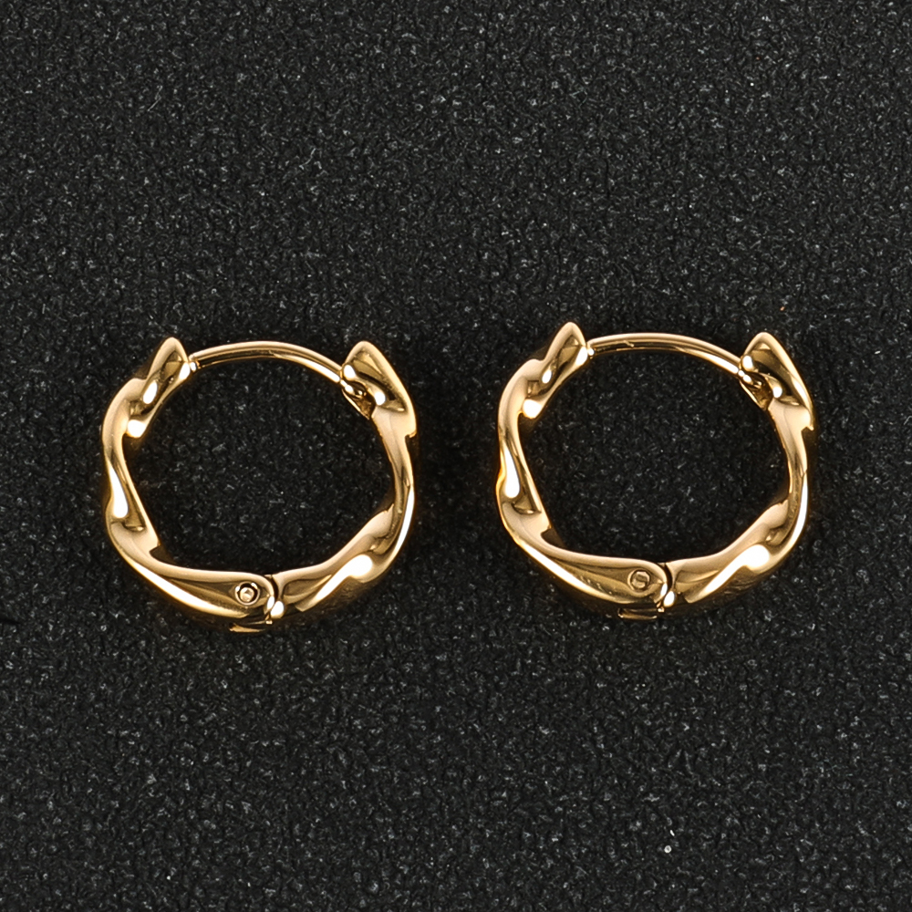 1 Pair Modern Style Simple Style Solid Color Polishing 304 Stainless Steel 18K Gold Plated Earrings display picture 24