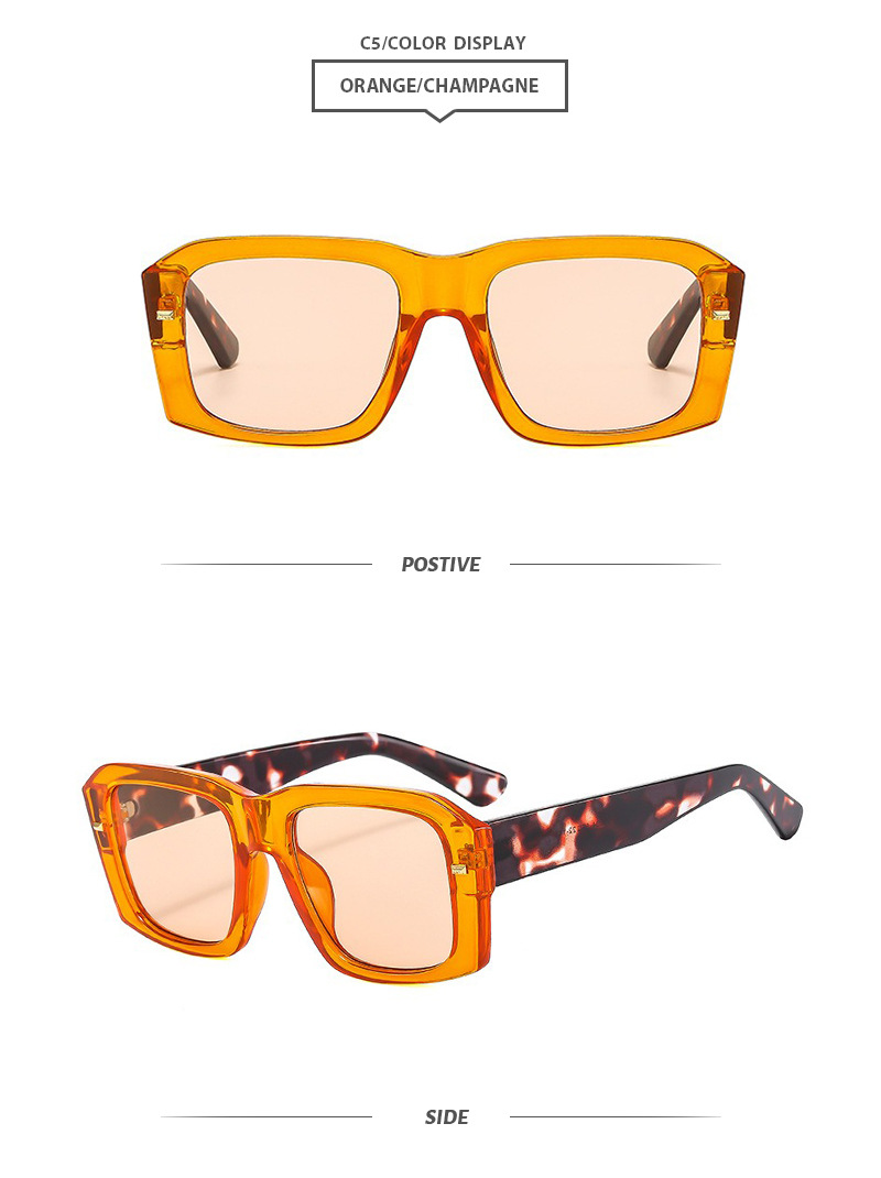 Elegant Simple Style Leopard Pc Square Full Frame Women's Sunglasses display picture 10