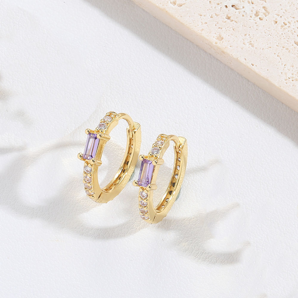 1 Pair Vintage Style Simple Style Commute Round Inlay Copper Zircon Hoop Earrings display picture 4