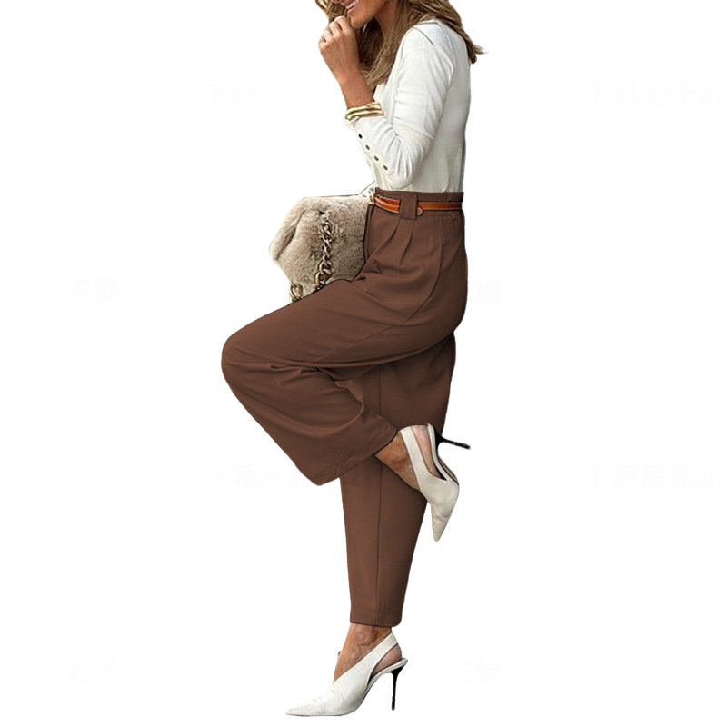 Women's Daily Streetwear Solid Color Ankle-Length Pocket Straight Pants display picture 12