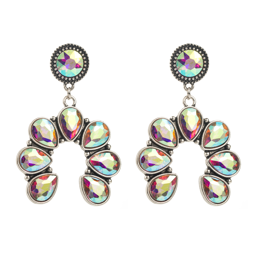1 Pair Elegant Luxurious Vacation Round Inlay Alloy Glass Silver Plated Drop Earrings display picture 6