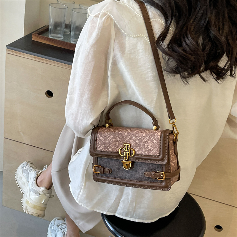 Women's Medium Pu Leather Printing Vintage Style Classic Style Lock Clasp Crossbody Bag display picture 7