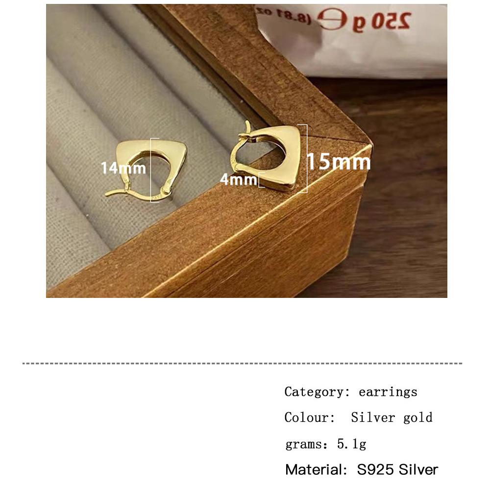 1 Paar Romantisch Einfacher Stil Geometrisch Sterling Silber Ohrringe display picture 1