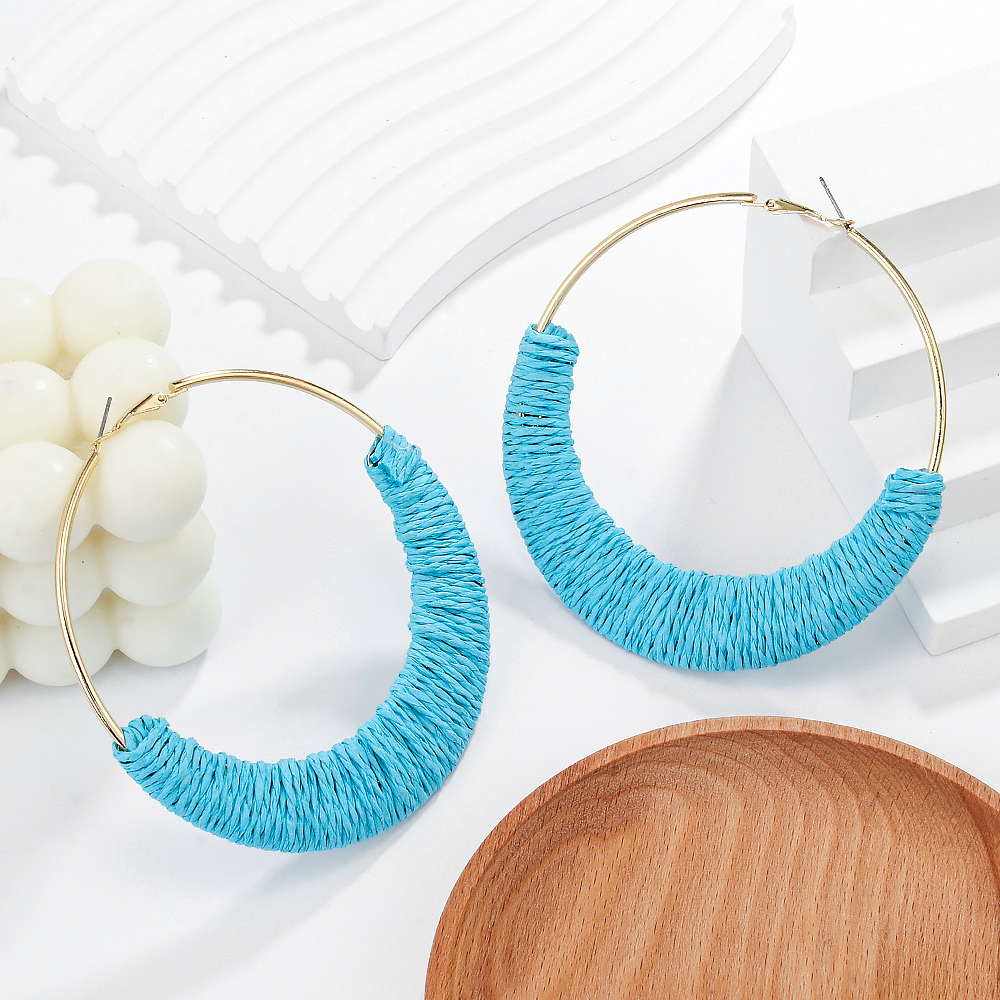 1 Pair Hawaiian Vacation Tropical Geometric Round Braid Alloy Raffia Hoop Earrings display picture 3