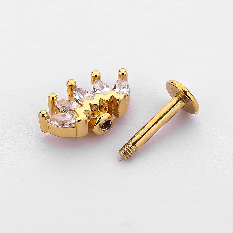 1 Piece Ear Cartilage Rings & Studs Simple Style Crown Butterfly 316L Stainless Steel  Flowers Butterfly Zircon Lip Rings Ear Cartilage Rings & Studs display picture 5