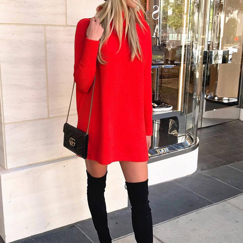Women's Regular Dress Fashion High Neck Long Sleeve Solid Color Above Knee Daily display picture 1