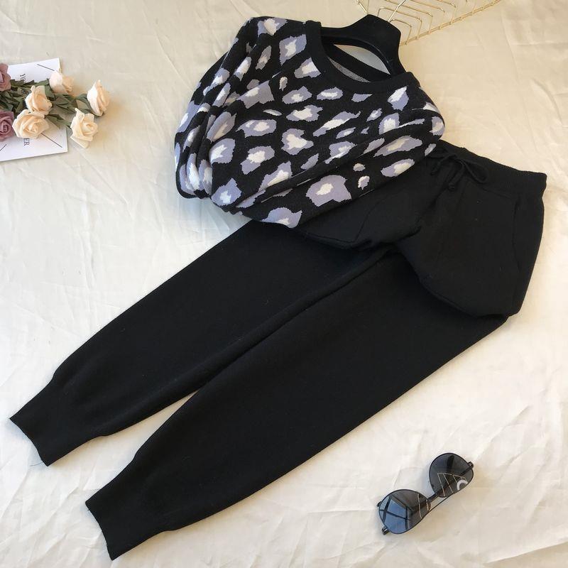 Daily Street Women's Casual Simple Style Leopard Rayon Spandex Polyester Pants Sets Pants Sets display picture 5